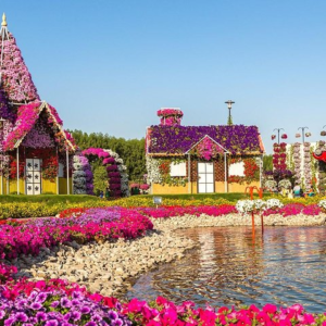 a58117ba-a0f2-4c0f-bb39-68a264905974_miracle-garden-butterfly-garden-with-ticket-private-transfers