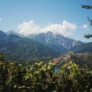 artem-bryzgalov-uDa7num4wvY-unsplash (1)