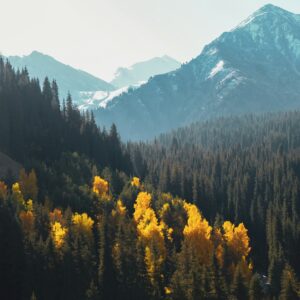dmitry-sumskoy-U64WCZyFsUE-unsplash