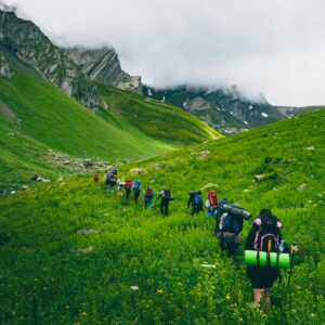 nika-tchokhonelidze-Ms_p0I5DQSM-unsplash