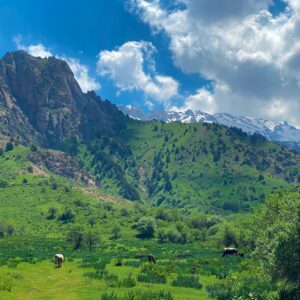 nodir-khalilov-zyoRx9ZBZ84-unsplash